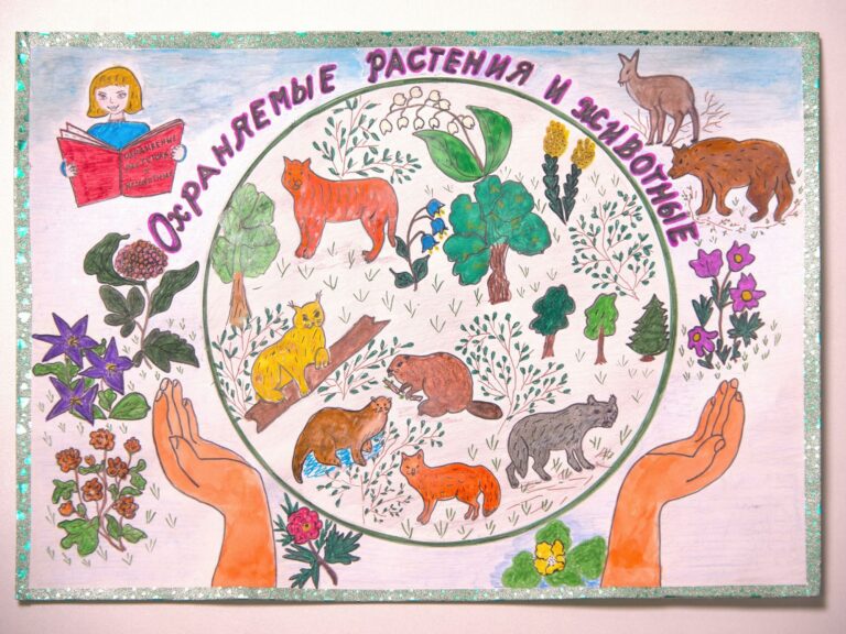 «Сбережем планету!». Юрлова Анастасия, 7 класс, МБОУ «Гимназия № 12»